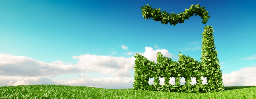 WHO guidelines for environmental monitoring