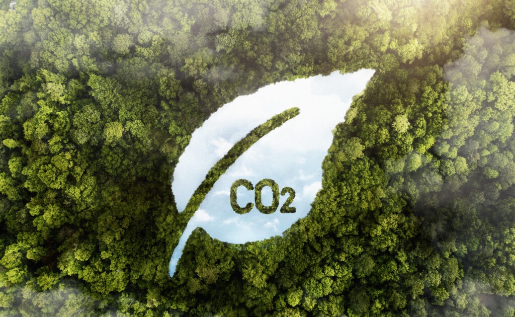 what is carbon footprint