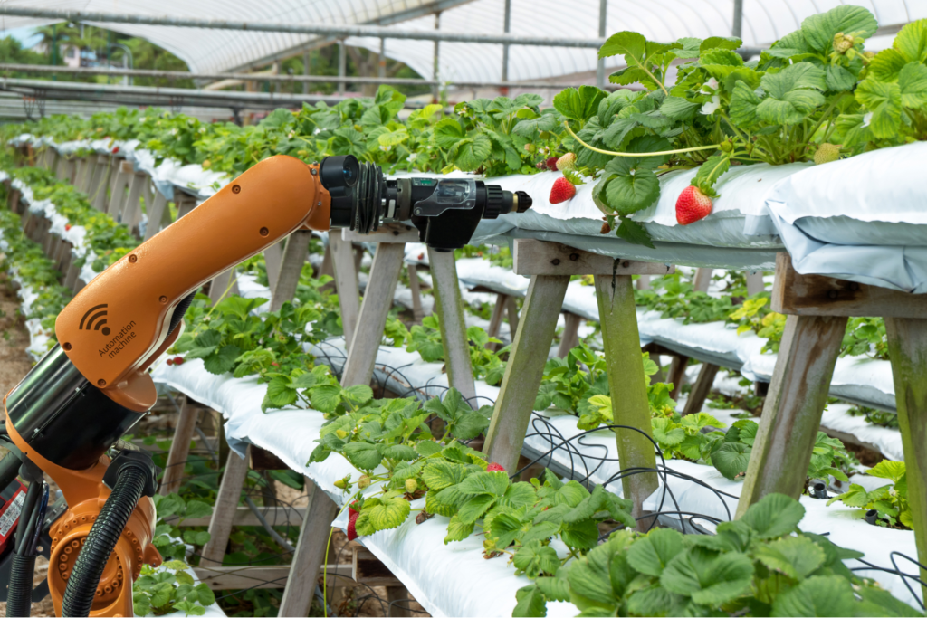 vertical farming and IoT