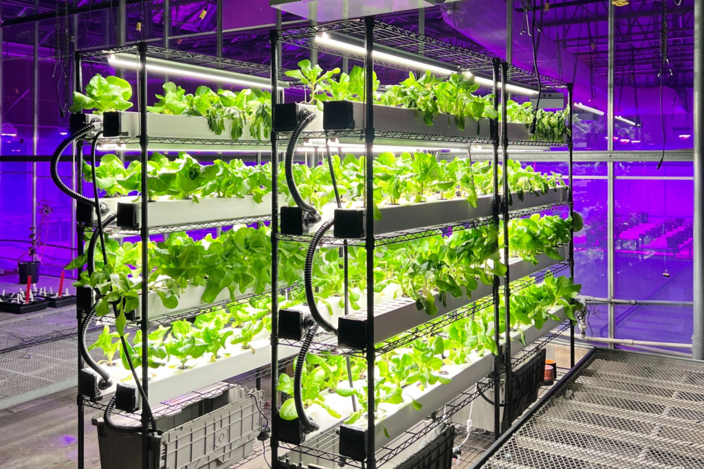 How much energy does vertical farming use?