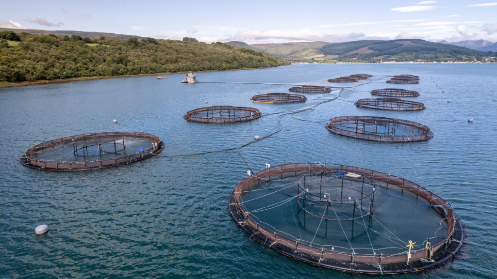 IoT in aquaculture and pH levels