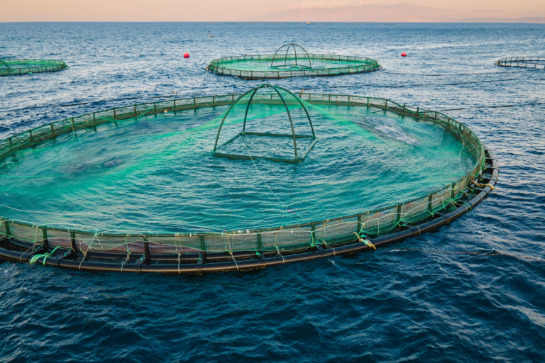 How to reduce pH in aquaculture with IoT devices