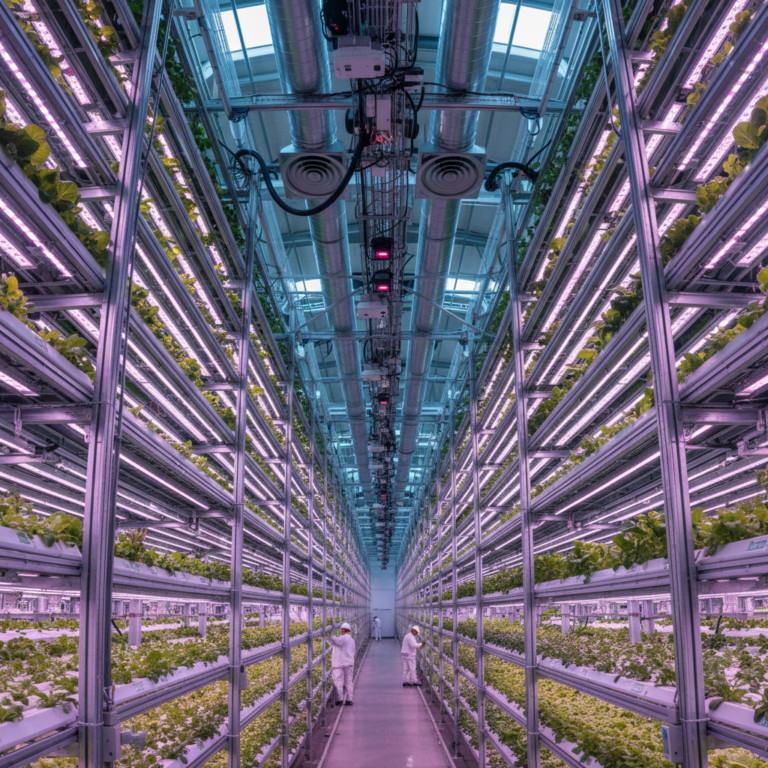 Wide view of an industrial facility using vertical farm climate control with LED lighting and ventilation systems.